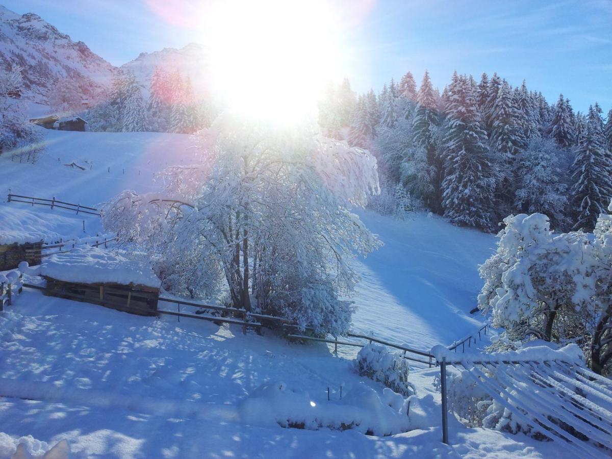 Chalet Viola - Verena'S Loft Wengen Kültér fotó