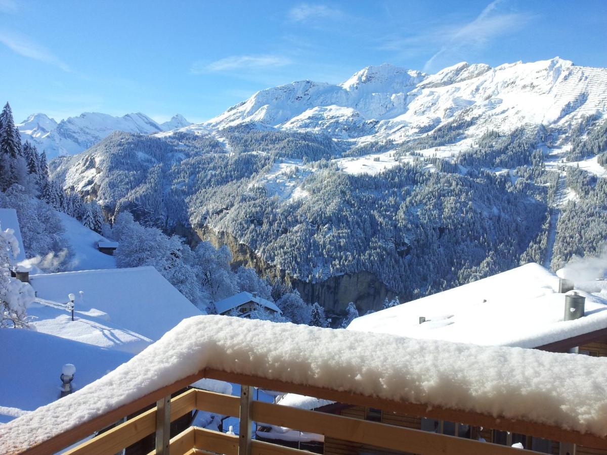 Chalet Viola - Verena'S Loft Wengen Kültér fotó
