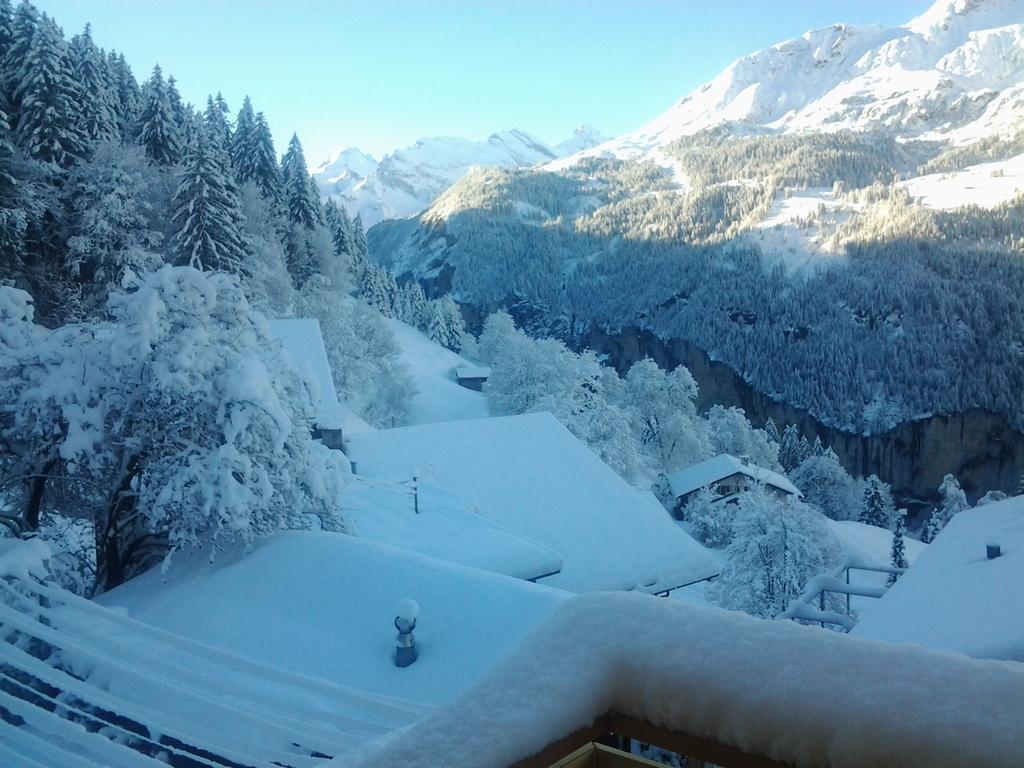 Chalet Viola - Verena'S Loft Wengen Kültér fotó