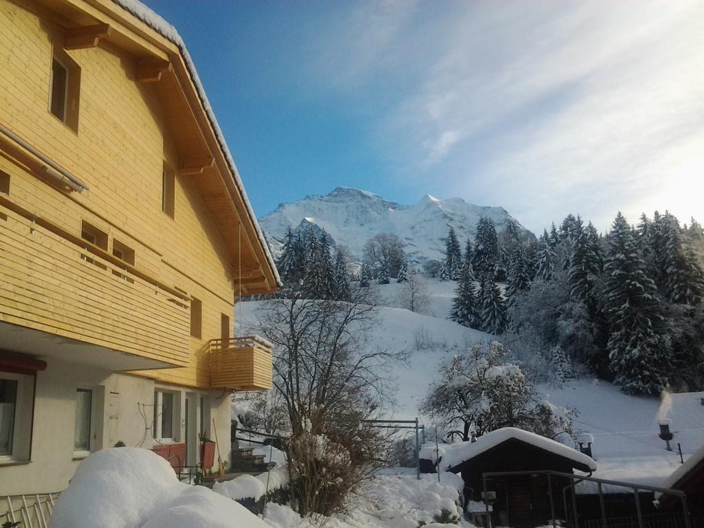 Chalet Viola - Verena'S Loft Wengen Kültér fotó