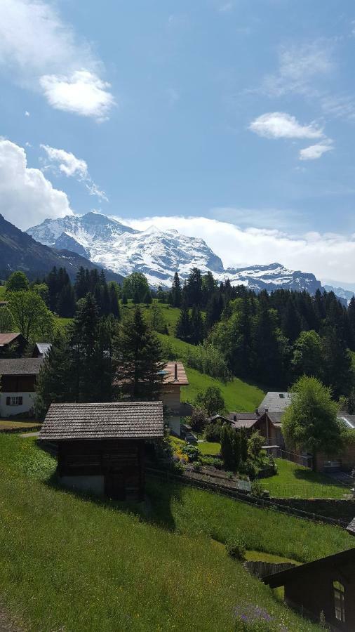 Chalet Viola - Verena'S Loft Wengen Kültér fotó
